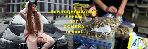 эйфоретик Верхний Тагил